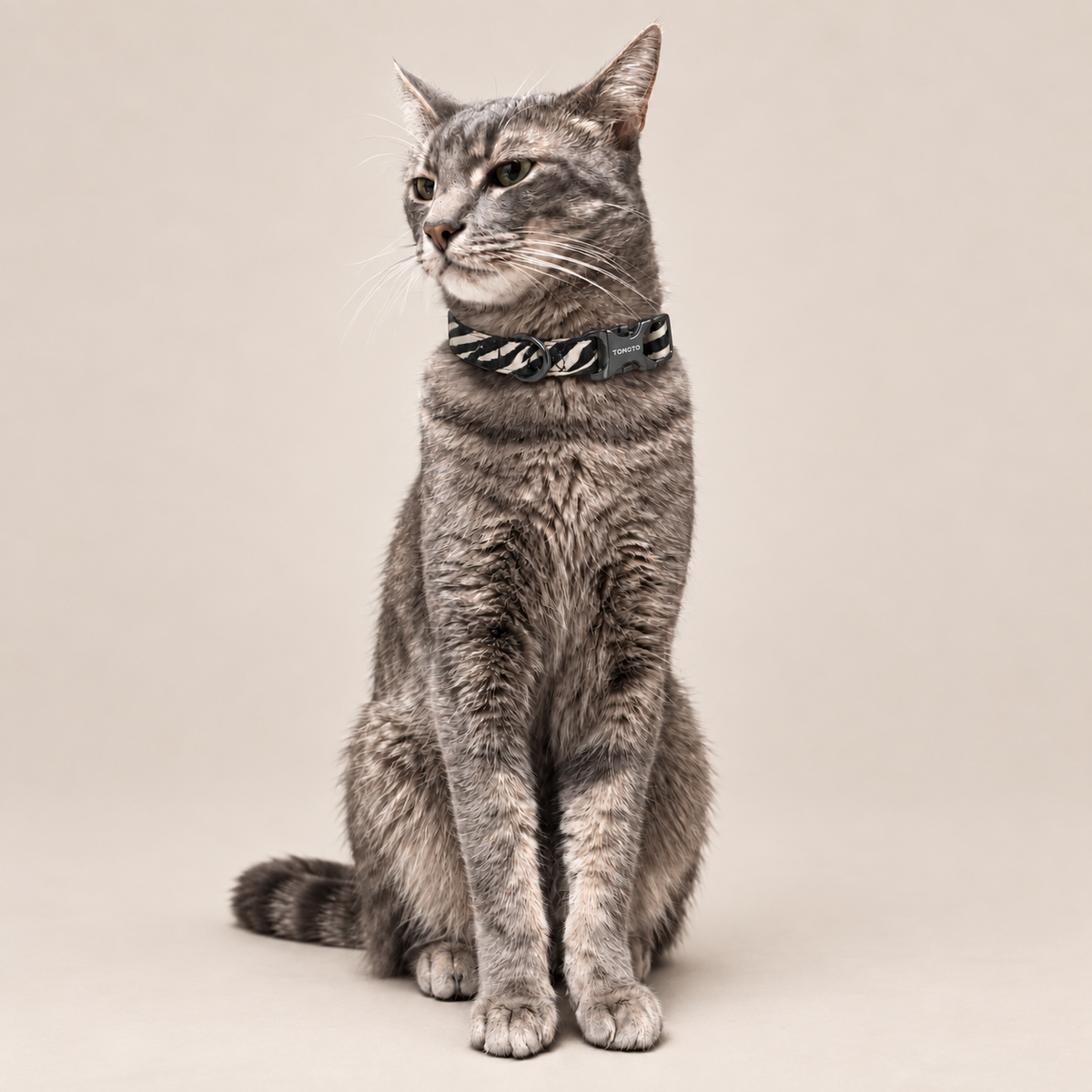 Tabby cat wearing zebra pattern TONOTO collar