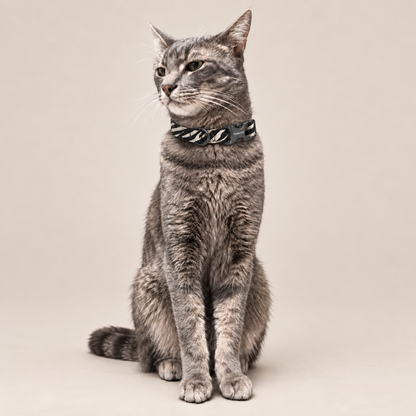 Tabby cat wearing zebra pattern TONOTO collar