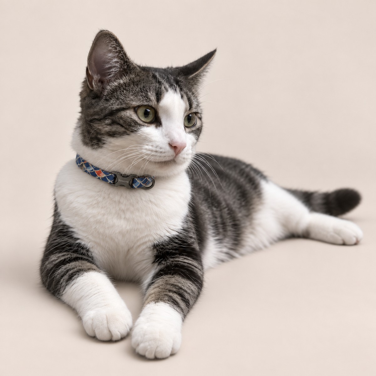 Cat wearing koi pattern TONOTO collar