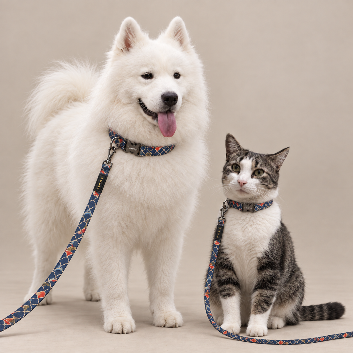 Samoyed and cat wearing koi pattern TONOTO collars