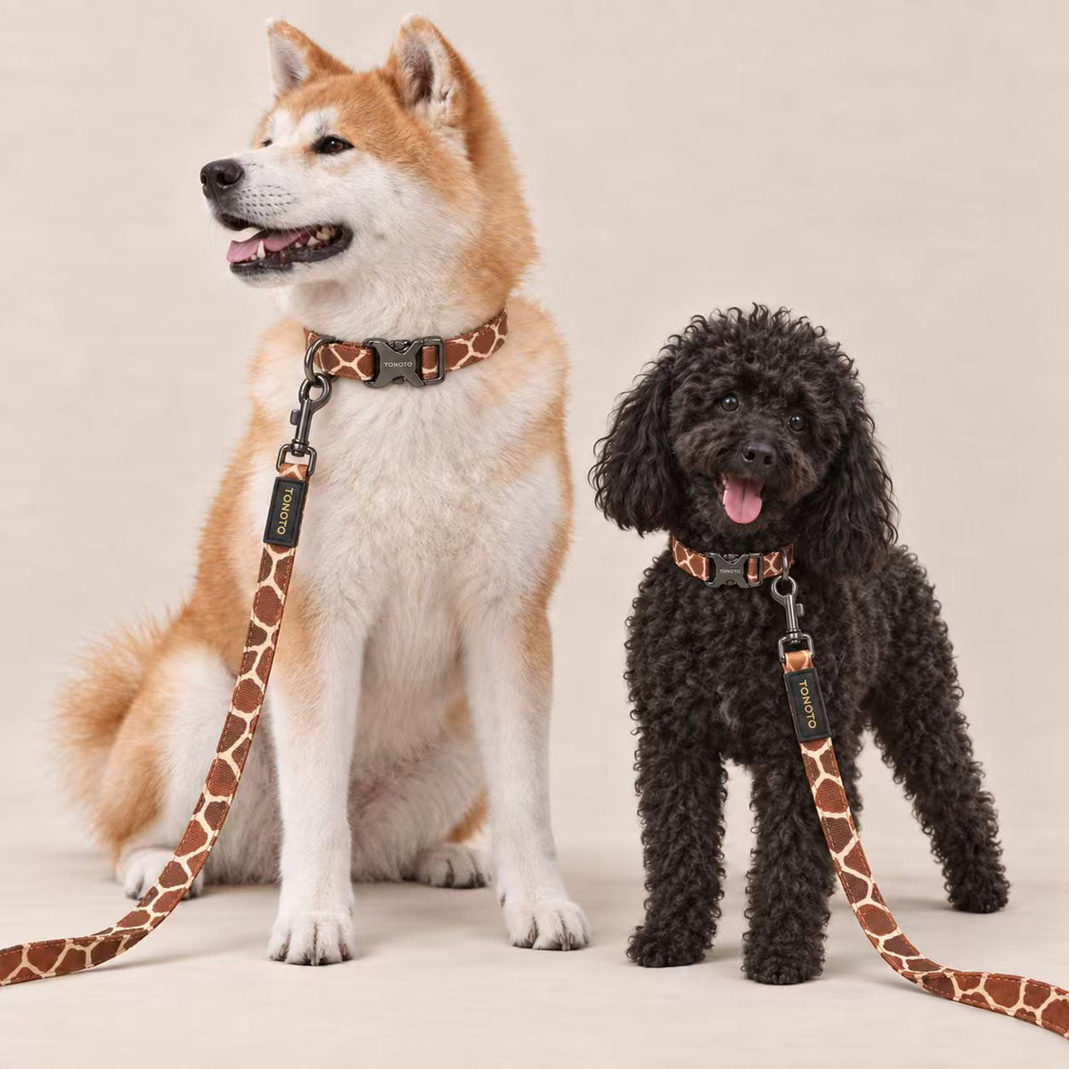 Shiba Inu and black poodle wearing giraffe pattern TONOTO collars
